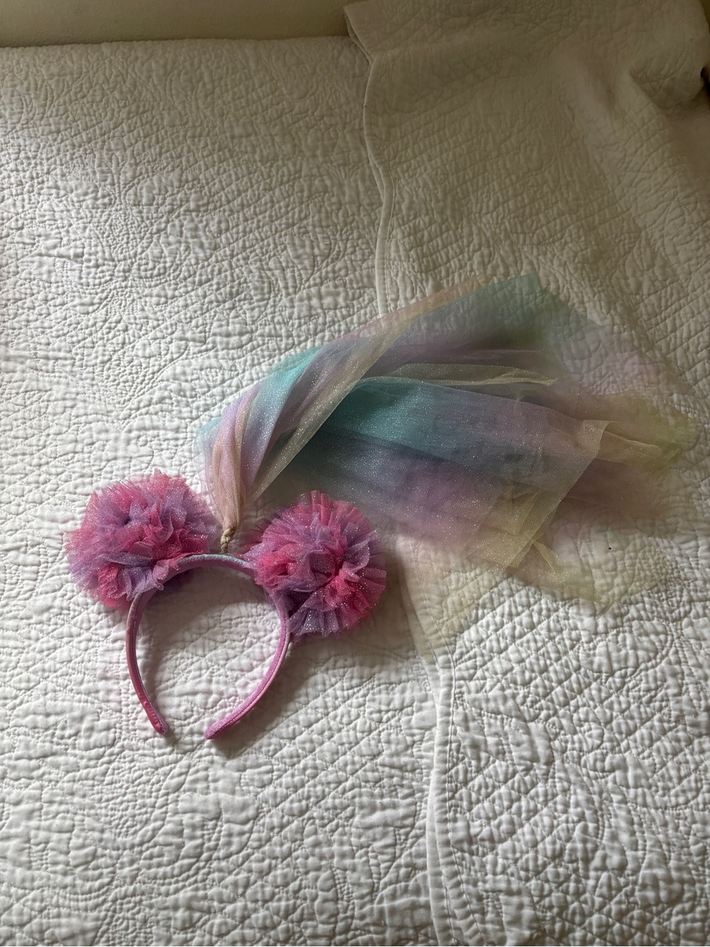 Minnie Mouse tulle ears from Walt Disney World
